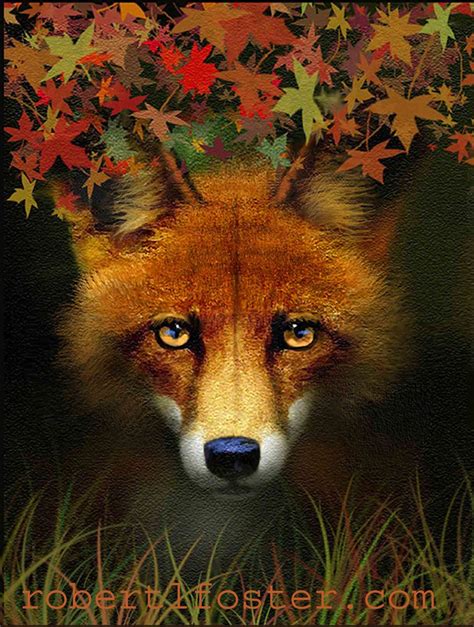 Art Robert Foster Fox Wall Art Fox Art Print Art Prints Wildlife