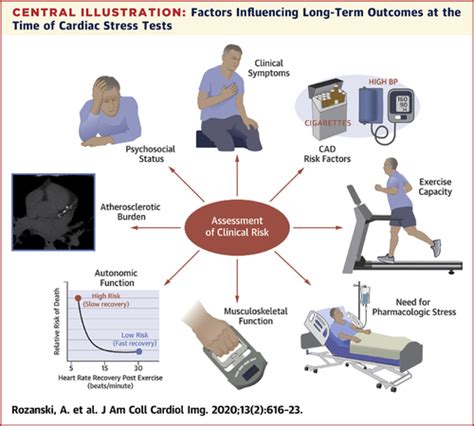 Optimizing The Assessment Of Patient Clinical Risk At The Time Of