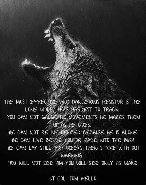 The Lone Wolf Wolf Pack Quotes Lone Wolf Quotes Inspirational Animal