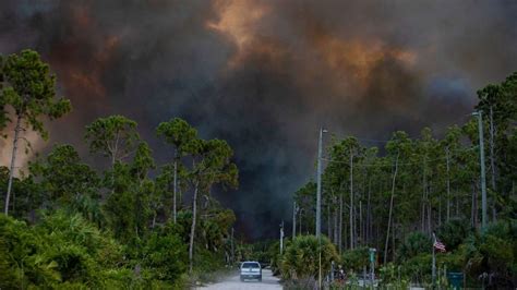 Florida Wildfire Forces Mandatory Evacuations Near Naples Abc News