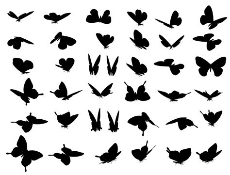 Butterfly Silhouette Clipart Set Free Stock Photo Public Domain Pictures