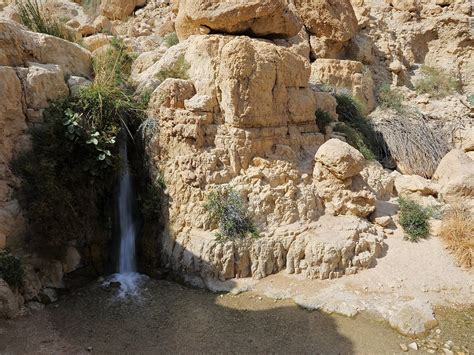 Ein Gedi Israel The Complete Guide