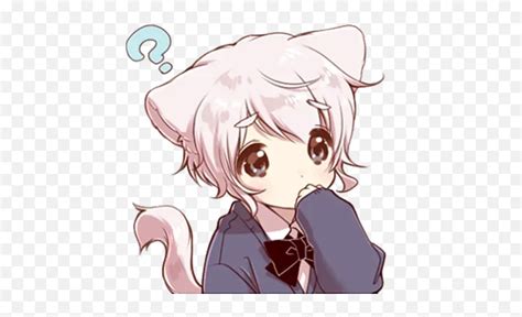 Cute Cat Ear Boy Whatsapp Stickers Stickers Cloud Cute Anime Boy Cat