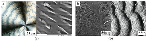 Crystals Free Full Text Morphological Control Of Polymer