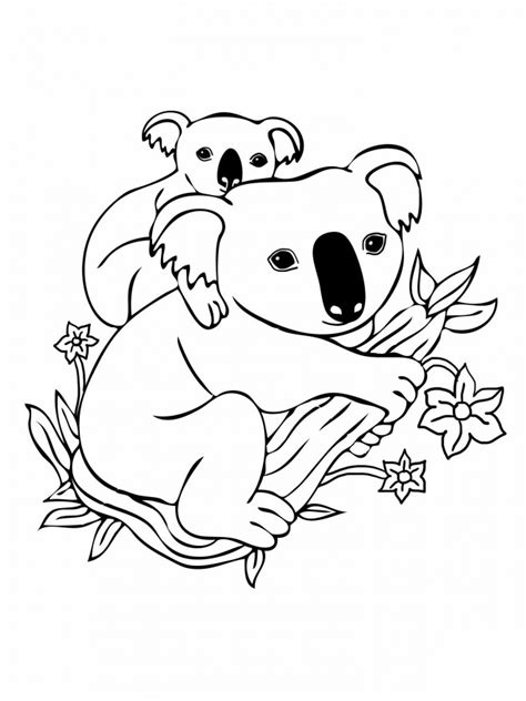 Coloriage Koala Et Son Petit Dessin Gratuit à Imprimer