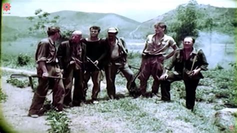 Best Vietnam Movies Lives Of The Jungle War Movies Full Length English Subtitles Youtube