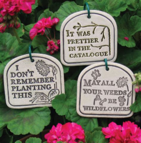 Humorous Garden Quotes Quotesgram