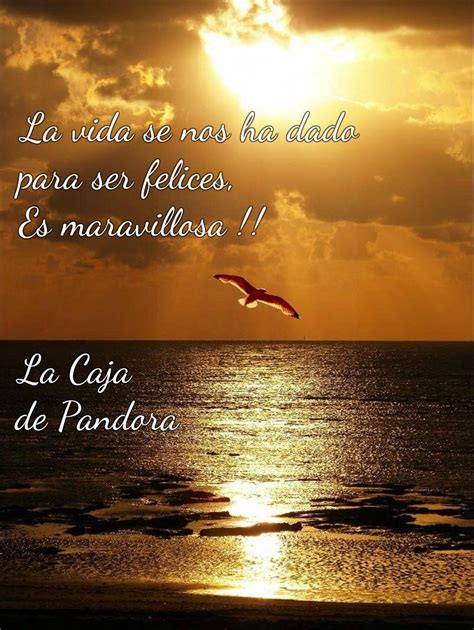 La Vida Es Maravillosa Sunrise Sunset Nature Art Flight Ocean