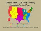 PPT - Rocky Mountain Spotted Fever PowerPoint Presentation, free ...