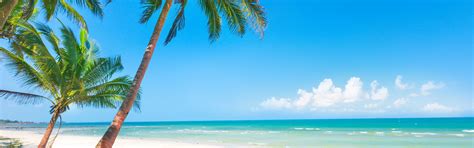 Wallpaper Summer Beach Palm Trees Sea 3840x2160 Uhd 4k