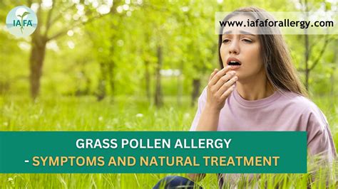 Grass Pollen Allergy Symptoms And Natural Treatment