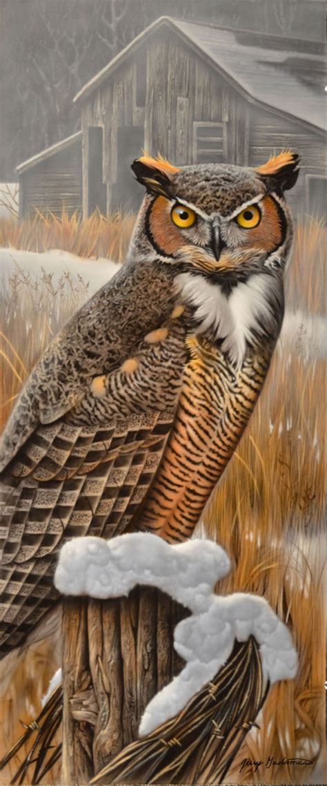 Jerry Gadamus Owl Artwork Owls Drawing Owl Painting