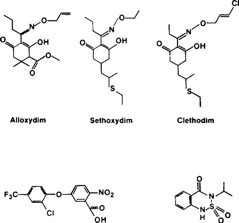 Figure From Cyclohexanedione Herbicides Are Selective And Potent