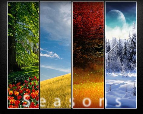 Seasons Wallpapers Group 81