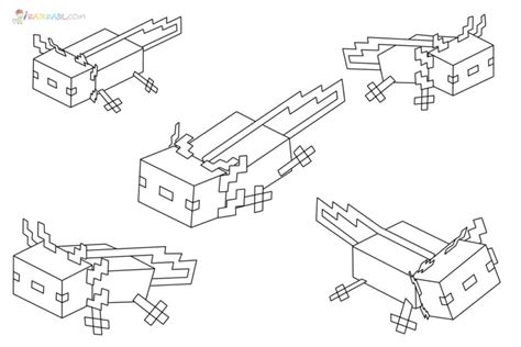 Ausmalbilder Axolotl Minecraft Malvorlagen Zum Ausdrucken