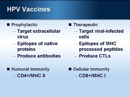 Advances In Vaccines For Cancer Prevention