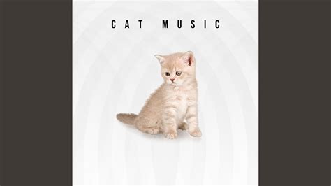 Kitty Music Youtube