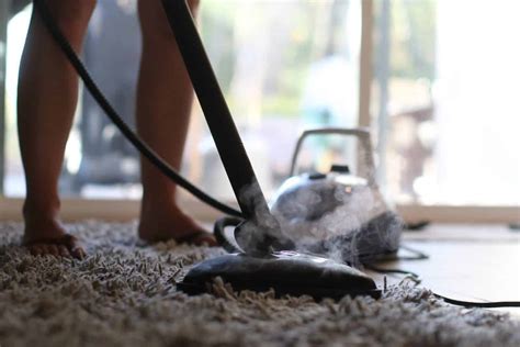 How To Steam Clean Carpet With A Steam Mop Homeviable