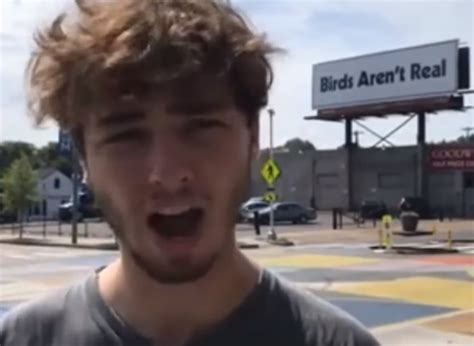 New Conspiracy Theory Claiming 'Birds Aren't Real' Spreads Thanks To Memphis Billboard - Free ...