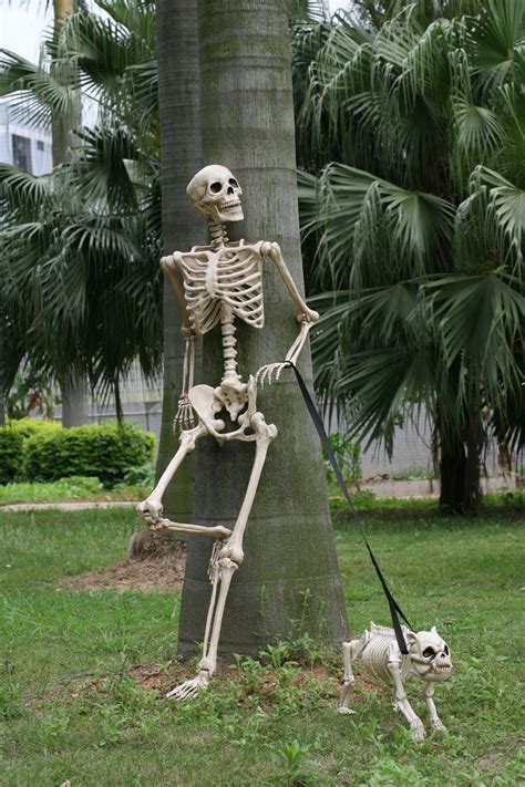 Crazy Bonez Skeleton And Buster Bonez Awesome Outdoor Halloween