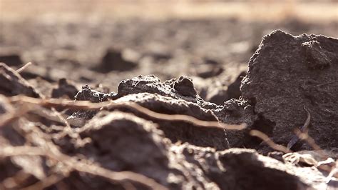 Ploughed Field Soil Close Up Background Stock Video Footage