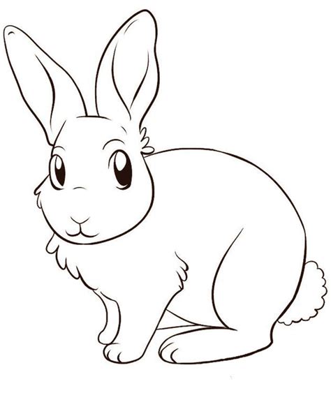 Bunny Rabbit Coloring Pages Coloriage Lapin Coloriage Dessin Gratuit
