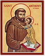 Men Saint Icons: St. Anthony of Padua Icon | Monastery Icons