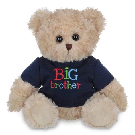 buddy big brother plush teddy bear · ellisi ts