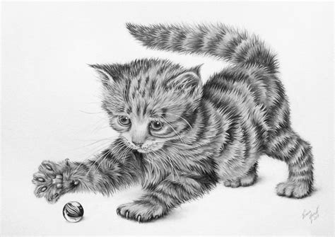 Cute Kitten Drawing Realistic Anna Blog