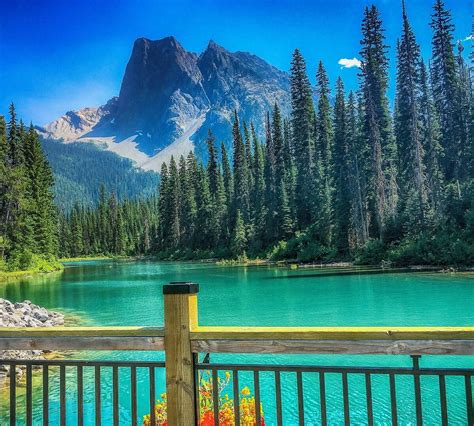 Emerald Lake Yoho National Park All You Need To Know Before You Go