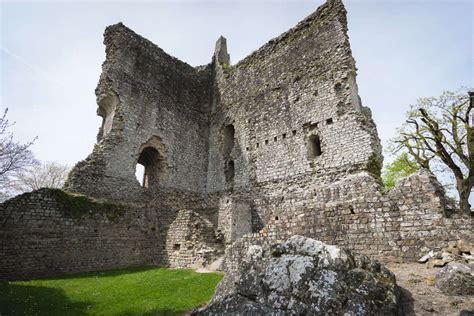 What Would You Learn From The Ruins Of The Medieval Castle Domfront