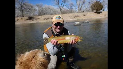 Ogrady Fly Fishing The Arkansas River Spring 2014 Youtube