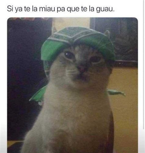 Si Ya Te La Miau Pa Que Te La Guau