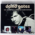 GATES DAVID/FIRST NEVER LET HER GO GOODBYE GIRL FALLING IN LOVE AGAIN ...