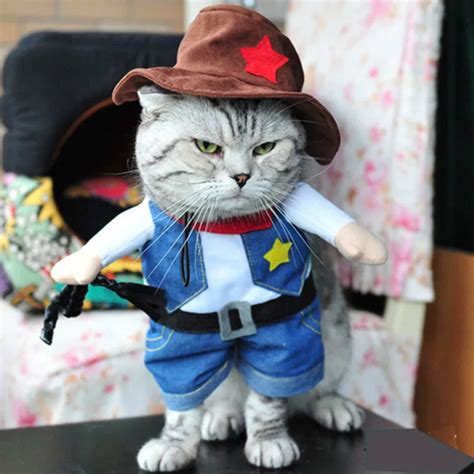 Cat Cowboy Image Result For Cats In Cowboy Hats Funny Cat Memes
