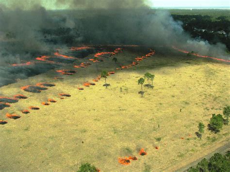 Free Picture Aerial Fire Ignitions