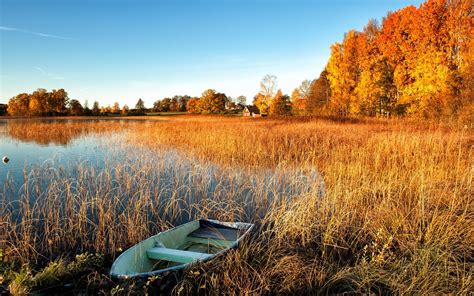 Autumn Scenery Lake Water Grass Boat Trees House Wallpaper