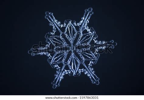 Real Snowflake Microscope Shot Stock Photo 1597863031 Shutterstock