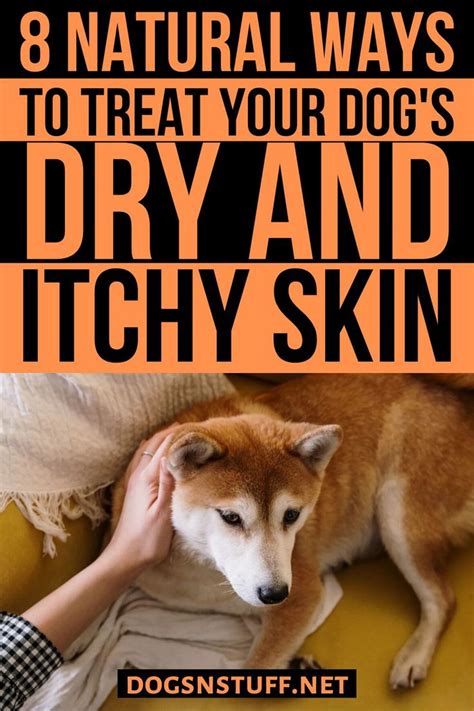 8 Natural Ways To Treat Dry And Itchy Skin In Dogs Itchy Dog Remedies