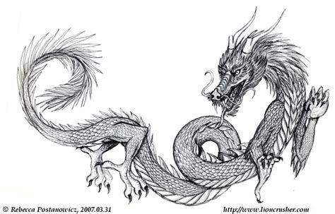 Chinese Dragon Drawing In Pencil