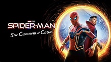 SPIDER-MAN: SIN CAMINO A CASA En camino a HBO MAX