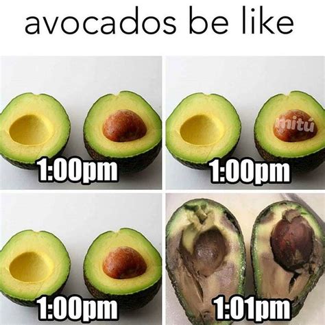What Does Avocado Taste Like Let Me Tell You