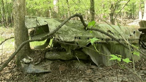 Swallowed By The Swamp 1950s Military Plane Crash Part Of Sc Forests