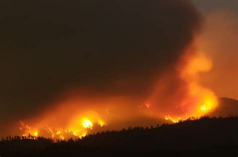 Let The Markets Help Our Forest Fire Issue Sustainable