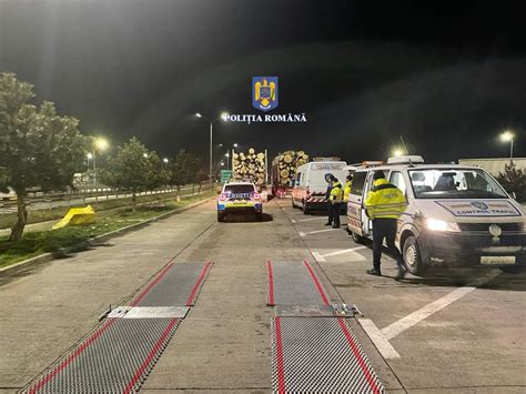 Mafia lemnului din Cluj preferă să nu cântărească transporturile de