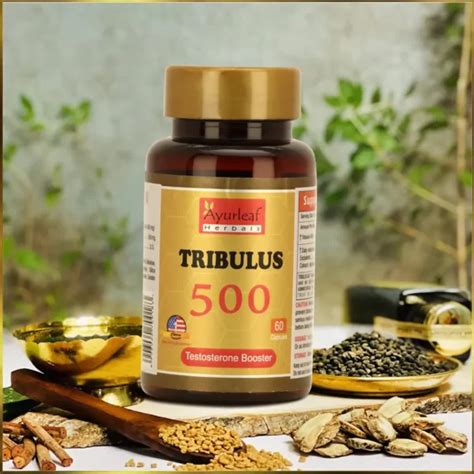 Tribulus 500mg Ayurvedic Medicine For Stamina Ayurleaf