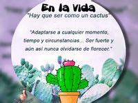 23 Ideas De Frases Suculentas En 2021 Frases De Cactus Suculentas