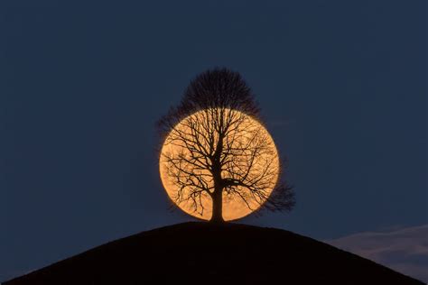 Photographer Of The Viral Photo Of A Full Moon Behind A Tree Shares The
