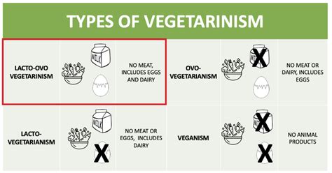 Vegetarianism For A Long Life Center For Healthy Aging