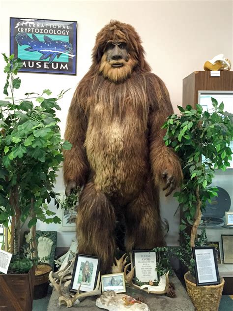 International Cryptozoology Museum A Fascinating Collection Of
